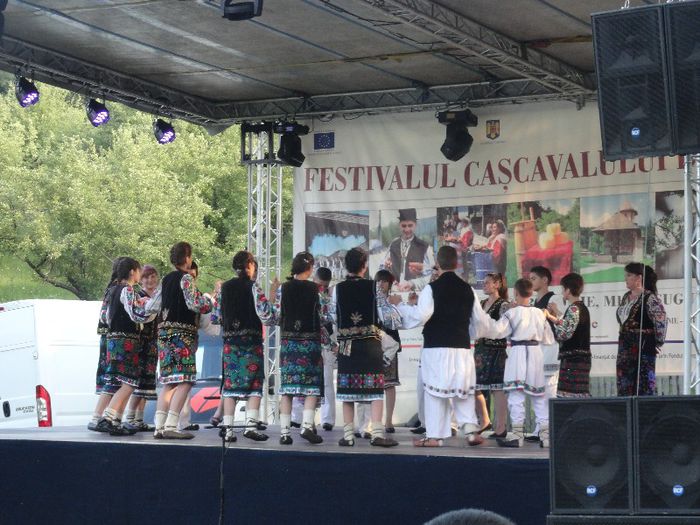 DSC07138 - festivalul cascavalului de bradulet 2013