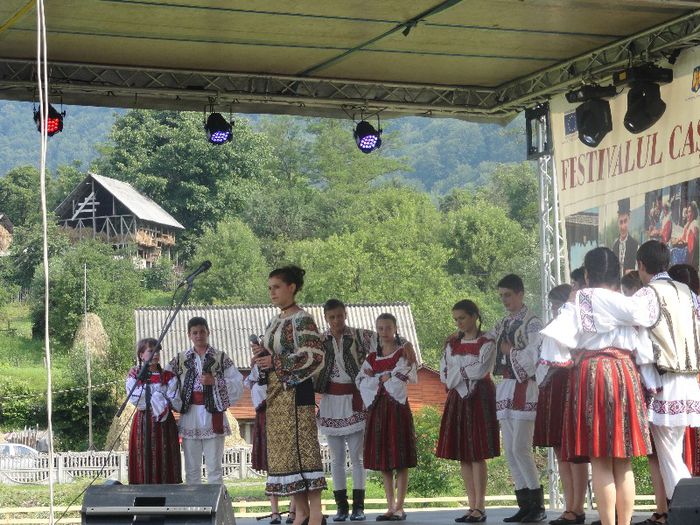 DSC07168 - festivalul cascavalului de bradulet 2013