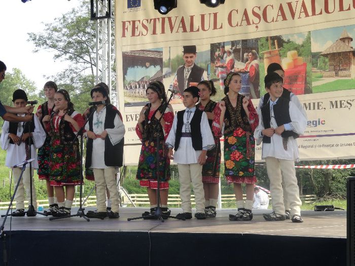 DSC07173 - festivalul cascavalului de bradulet 2013