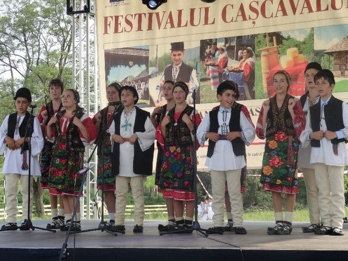 DSC07174 - festivalul cascavalului de bradulet 2013