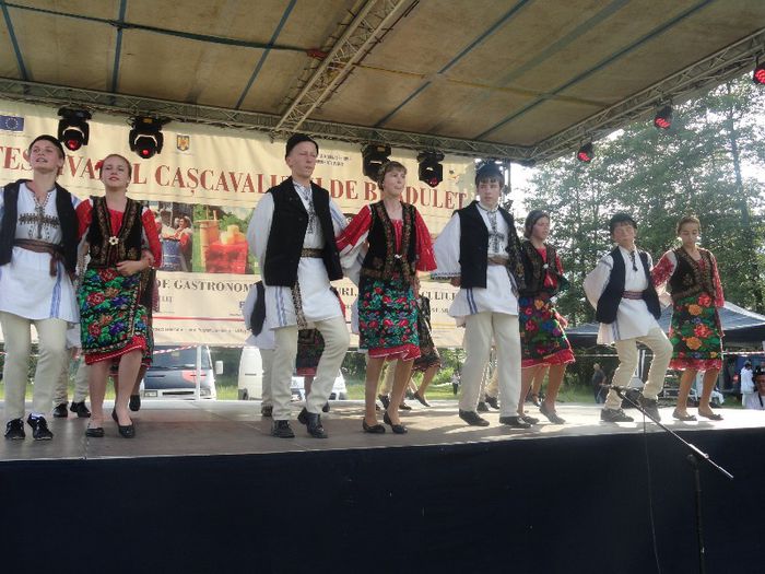 DSC07192 - festivalul cascavalului de bradulet 2013