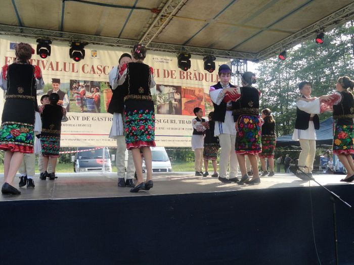 DSC07193 - festivalul cascavalului de bradulet 2013