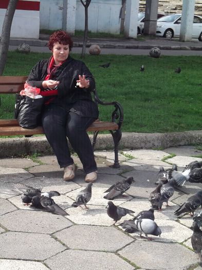 Picture 025 - SINGURATATEA ALERGATORULUI DE CURSA LUNGA