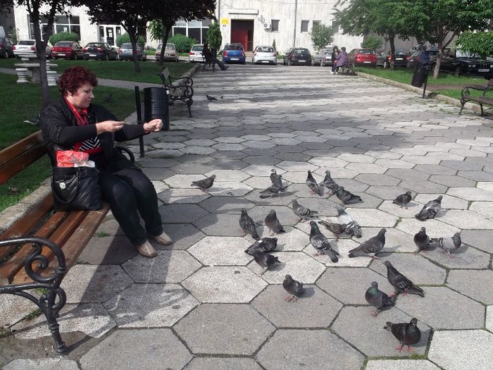 Picture 026 - SINGURATATEA ALERGATORULUI DE CURSA LUNGA