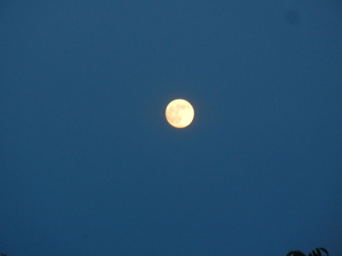 Beautiful Moon (2013, June 22, 9.16 PM) - MOON_Luna