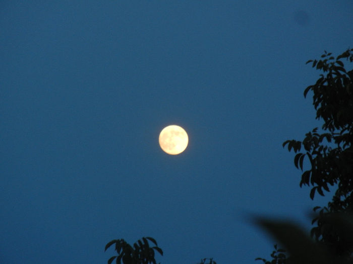 Beautiful Moon (2013, June 22, 9.17 PM) - MOON_Luna