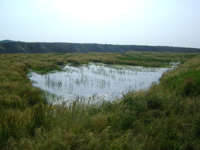 DSC01079 - 1 saptamana cioban