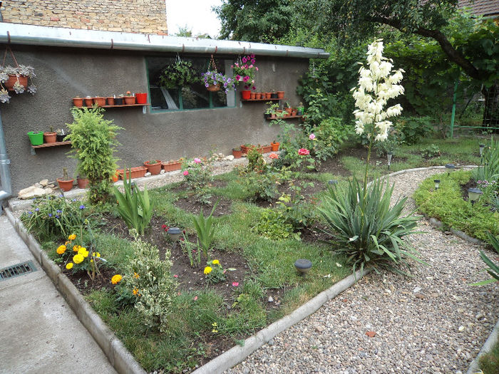 DSC03243 - Flori_2013