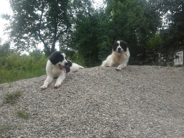 2013-06-23 20.34.37 - Molda