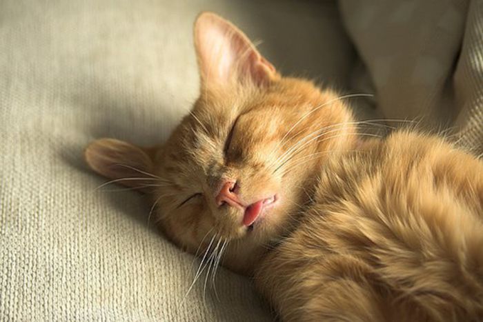 tumblr_l4np2nNMK11qz57pfo1_500_large