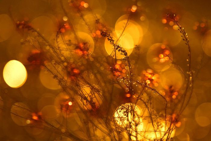  - z - z Album pentru toti vizitatorii