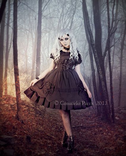  - z - z Album pentru toti vizitatorii