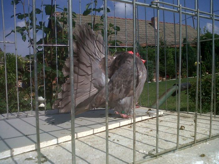 IMG01525-20130623-1730