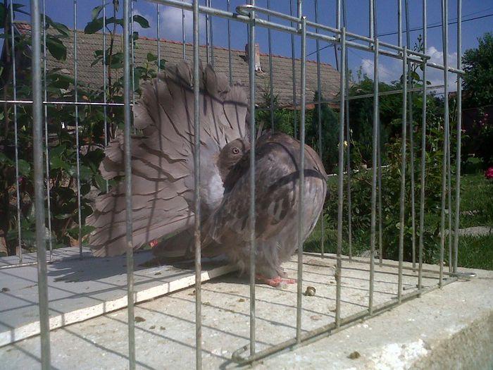 IMG01526-20130623-1730