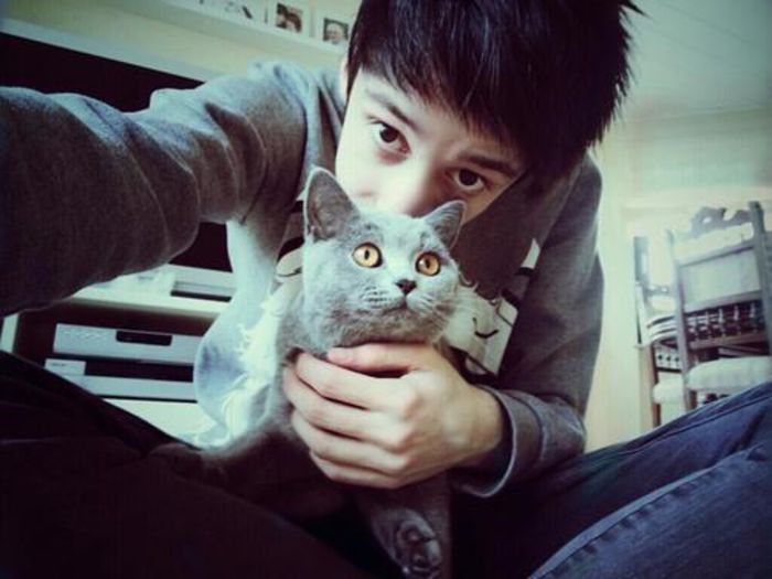 tumblr_mgmogoqpLy1rdemr1o1_500_large