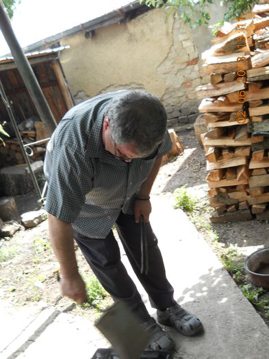 105 - FLORI DIN GRADINA MAMEI MELE