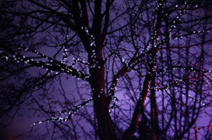 Si cam asa stateau lucrurile...