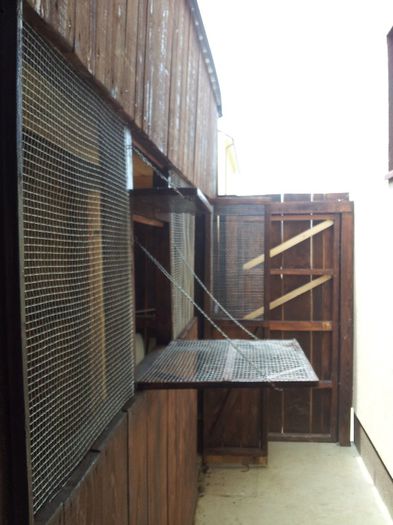 20130624_132014 - Foisor si Voliera