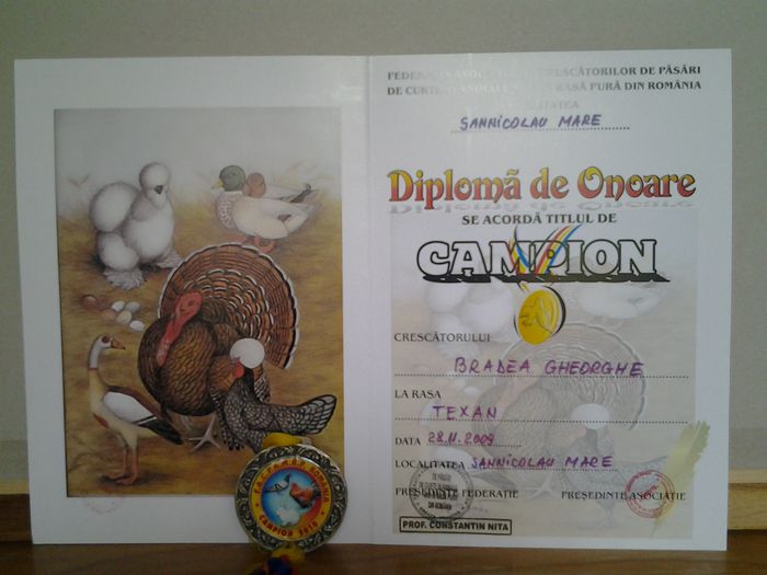 20130624_172641 - CUPE SI DIPLOME