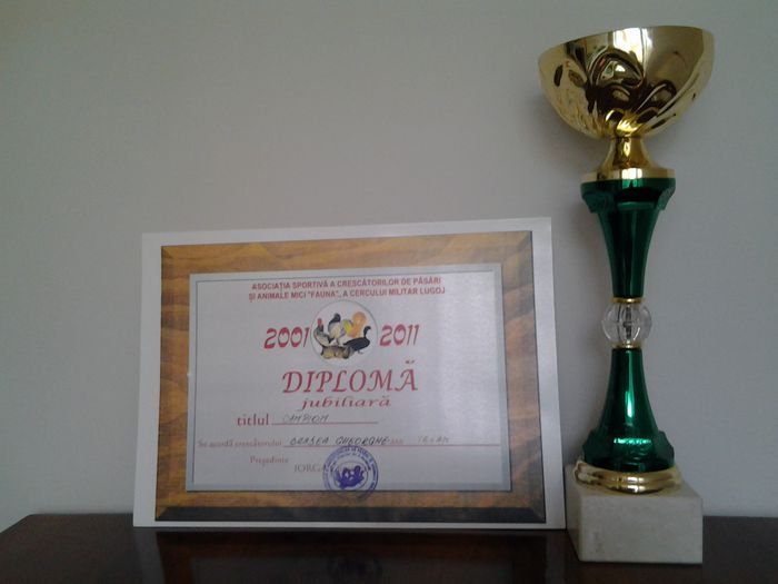 20130624_171737 - CUPE SI DIPLOME