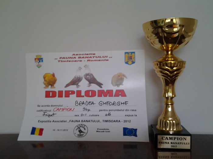 20130624_171349 - CUPE SI DIPLOME