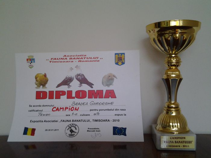 20130624_171314 - CUPE SI DIPLOME