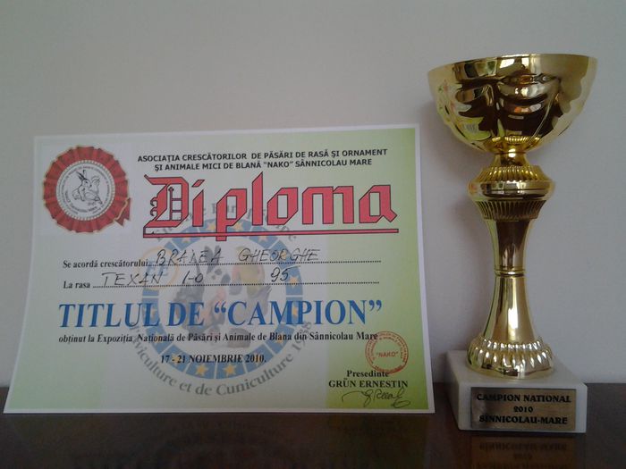 20130624_170541 - CUPE SI DIPLOME