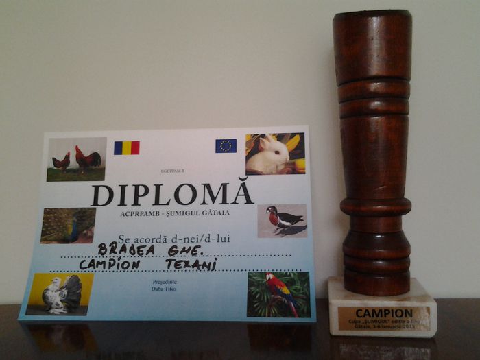 20130624_170346 - CUPE SI DIPLOME