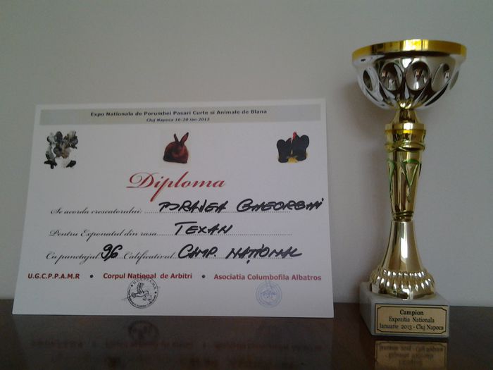 20130624_170306 - CUPE SI DIPLOME