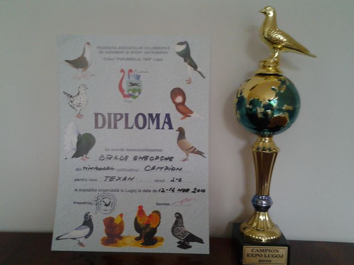 20130624_165849 - CUPE SI DIPLOME