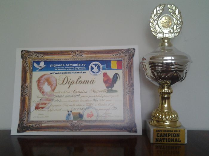 20130624_165631 - CUPE SI DIPLOME