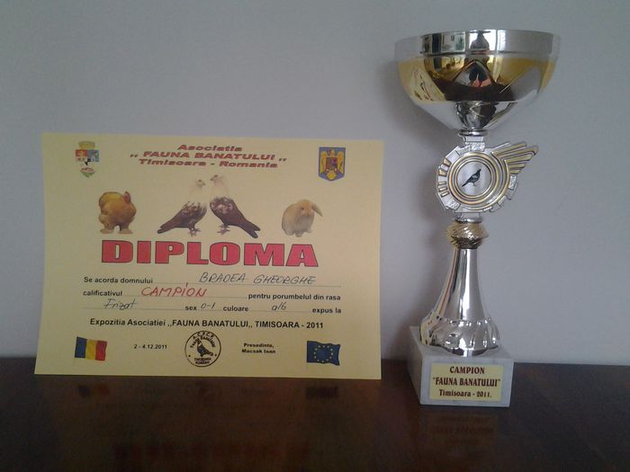 20130624_165050 - CUPE SI DIPLOME