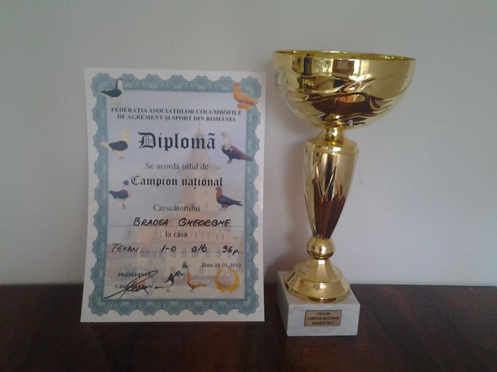 20130624_164819 - CUPE SI DIPLOME