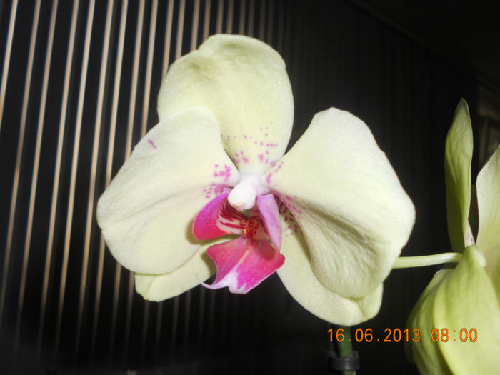 DSCN3588