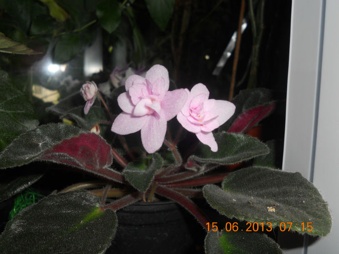 DSCN3529 - Balcon 2012-2013-2014