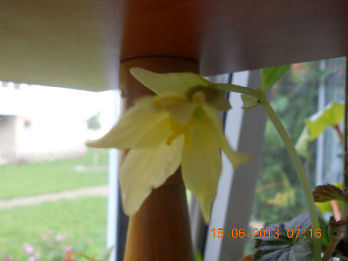 DSCN3531 - Balcon 2012-2013-2014