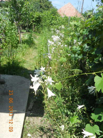 DSCN3614