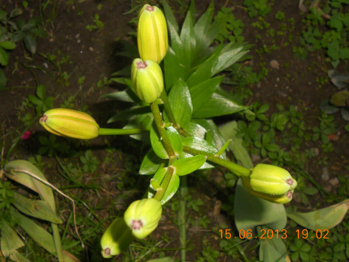 DSCN3564