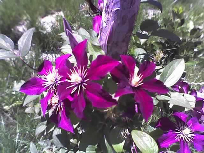 17-06-13_1300