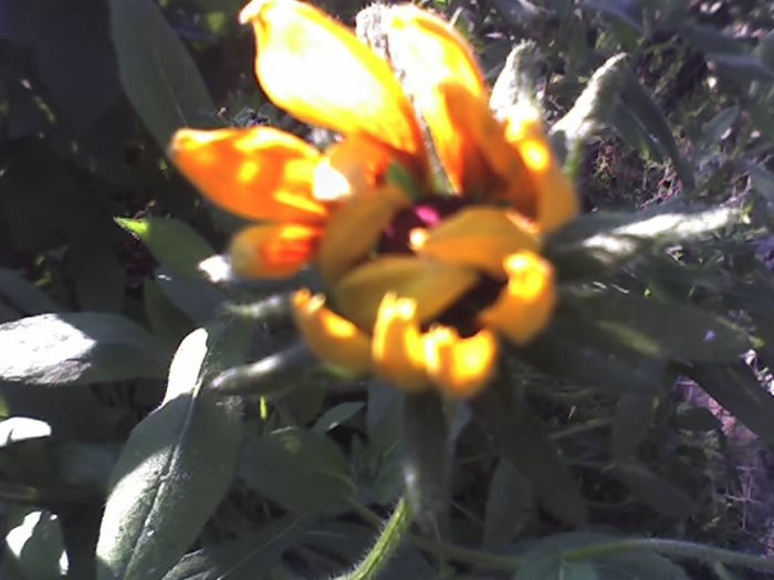 18-06-13_0704
