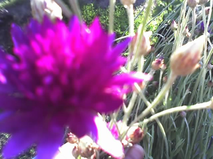 18-06-13_0707