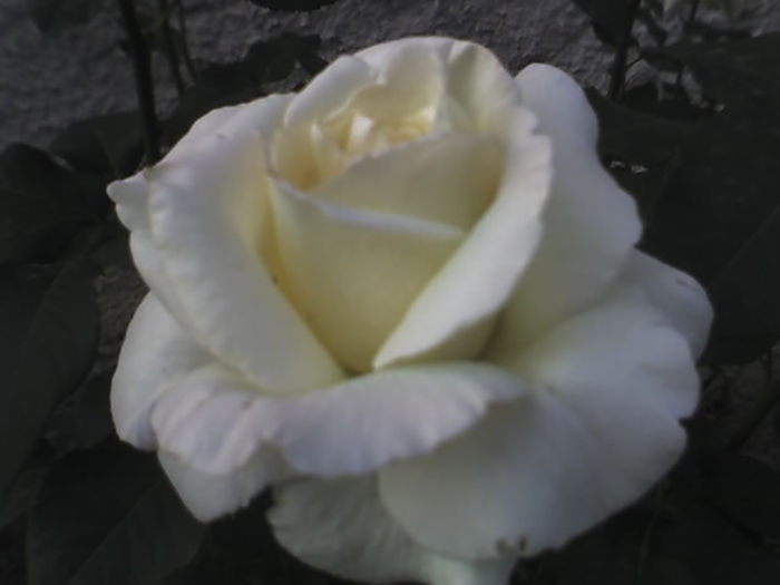 18-06-13_0716