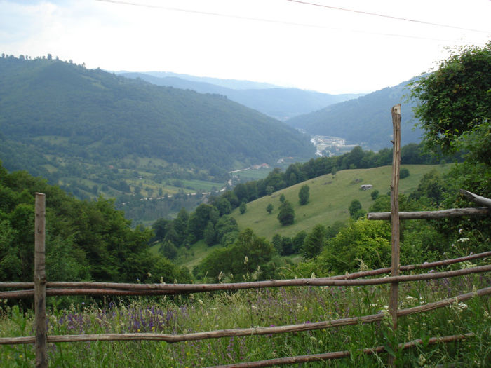 DSC07827