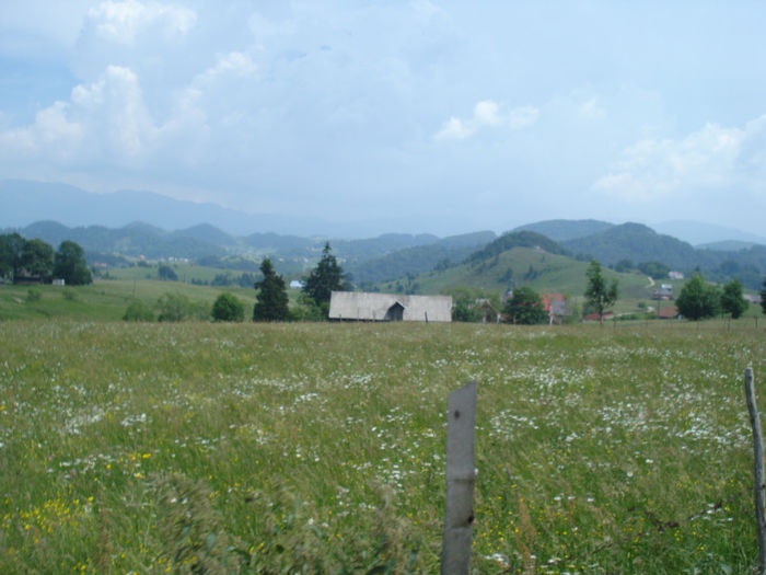 DSC07829