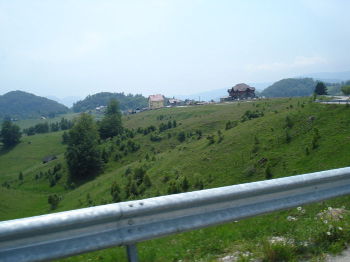 DSC07835