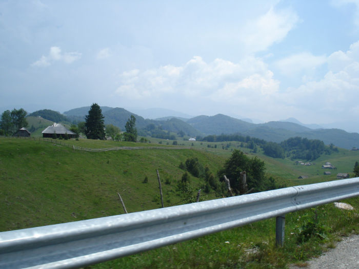 DSC07837