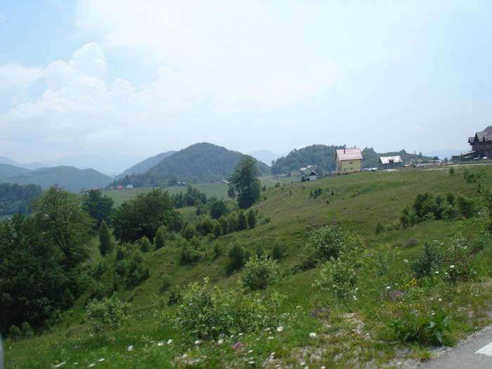 DSC07838