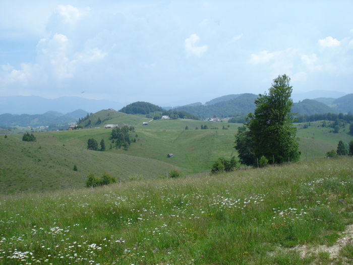 DSC07840