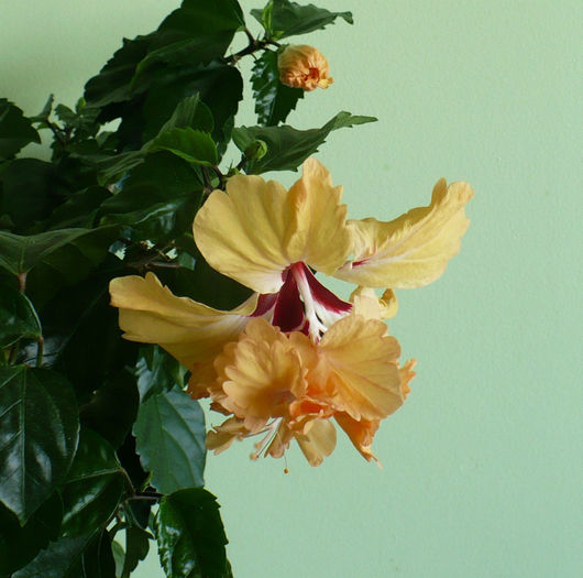 P1450333