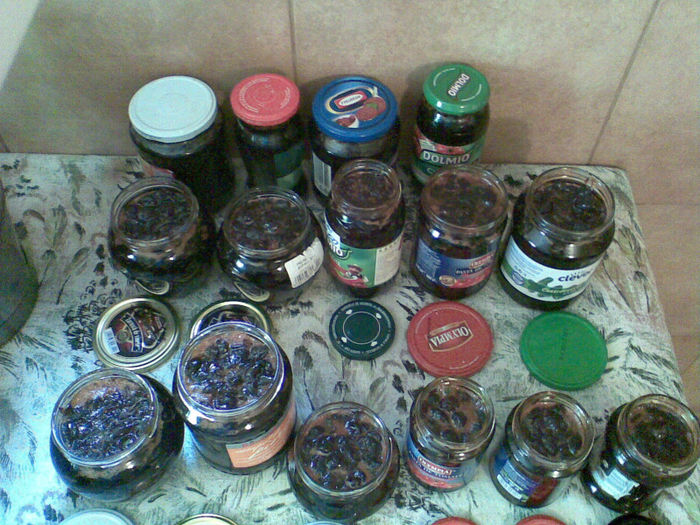 dulceata de visine 2013